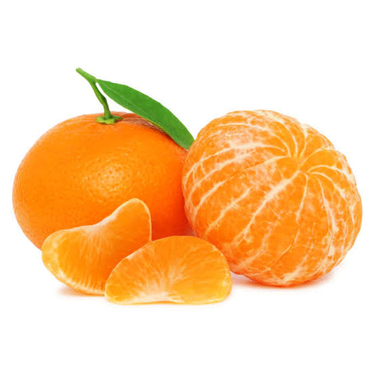 Clementine Tangor Orange Plant|Buy Clementine Tangor Orange Plant