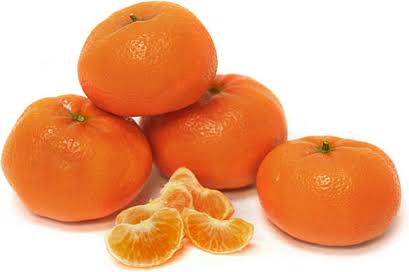 Honey Murcott Tangerine Plant|Buy Honey Murcott Tangerine Plant Online