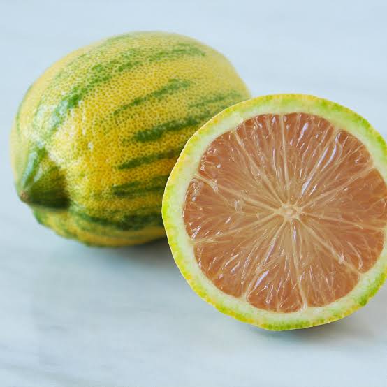 Variegated Pink Eureka Lemon|Buy Pink Variegated Lemon plant