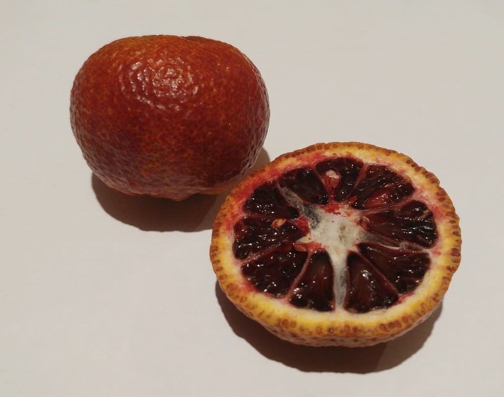 Amoa 8 Blood Mandarin|Amoa 8 Blood Mandarin Plant for Sale