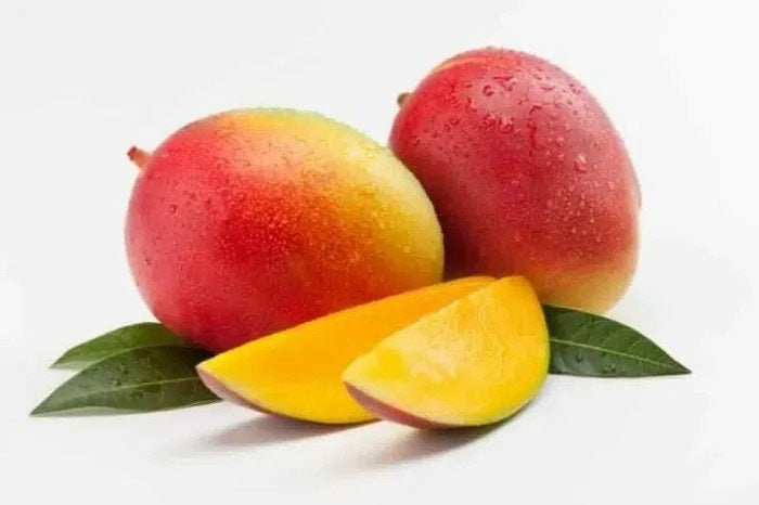 Sindur Kouta mango |Sindur Kouta mango grafted plant for sale