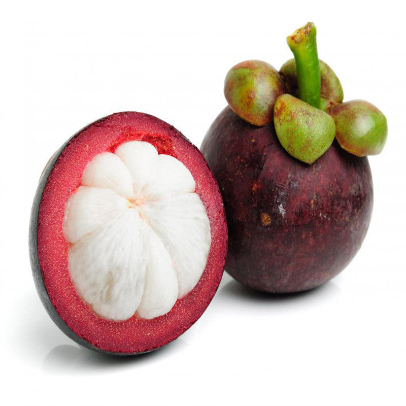 Mangosteen / Garcinia mangostana - Fruit Plants & Tree