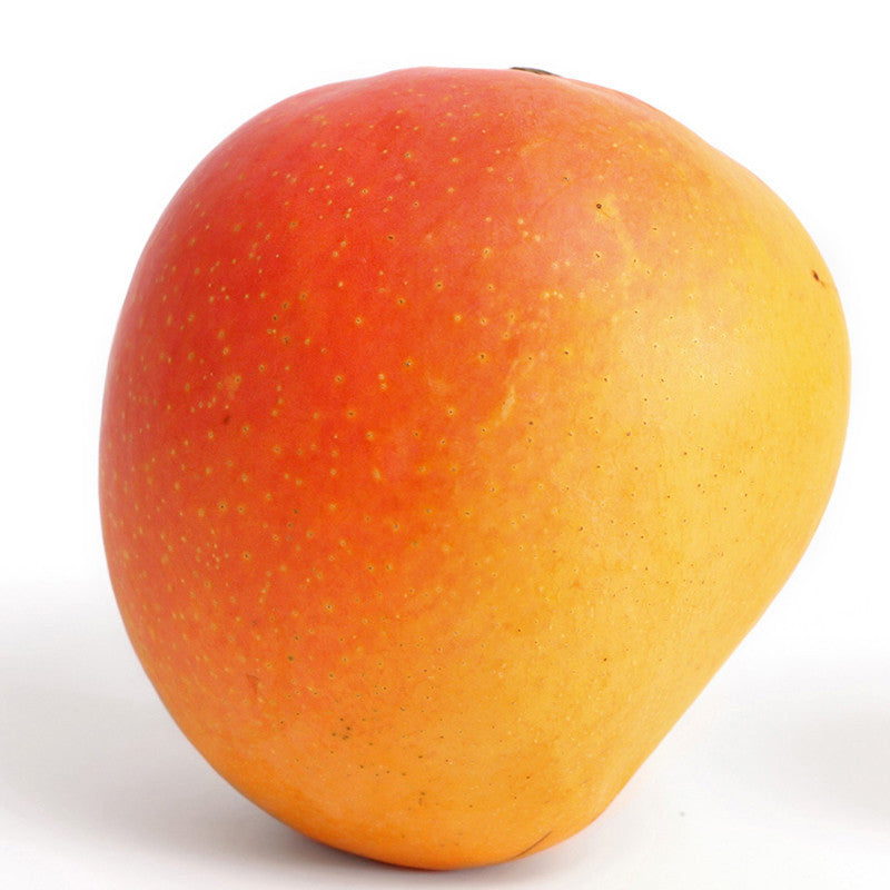 Mango Suvarnarekha(Grafted) - Fruit Plants & Tree