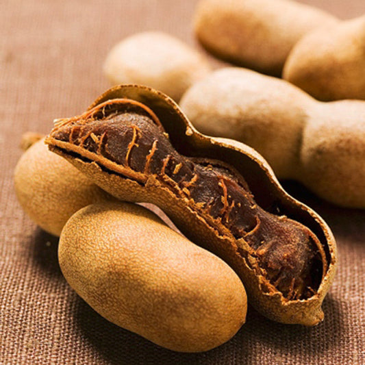 Sweet Tamarind (Grafted) - Fruit Plants & Tree|Sweet Tamarind Grafted Plant Available online