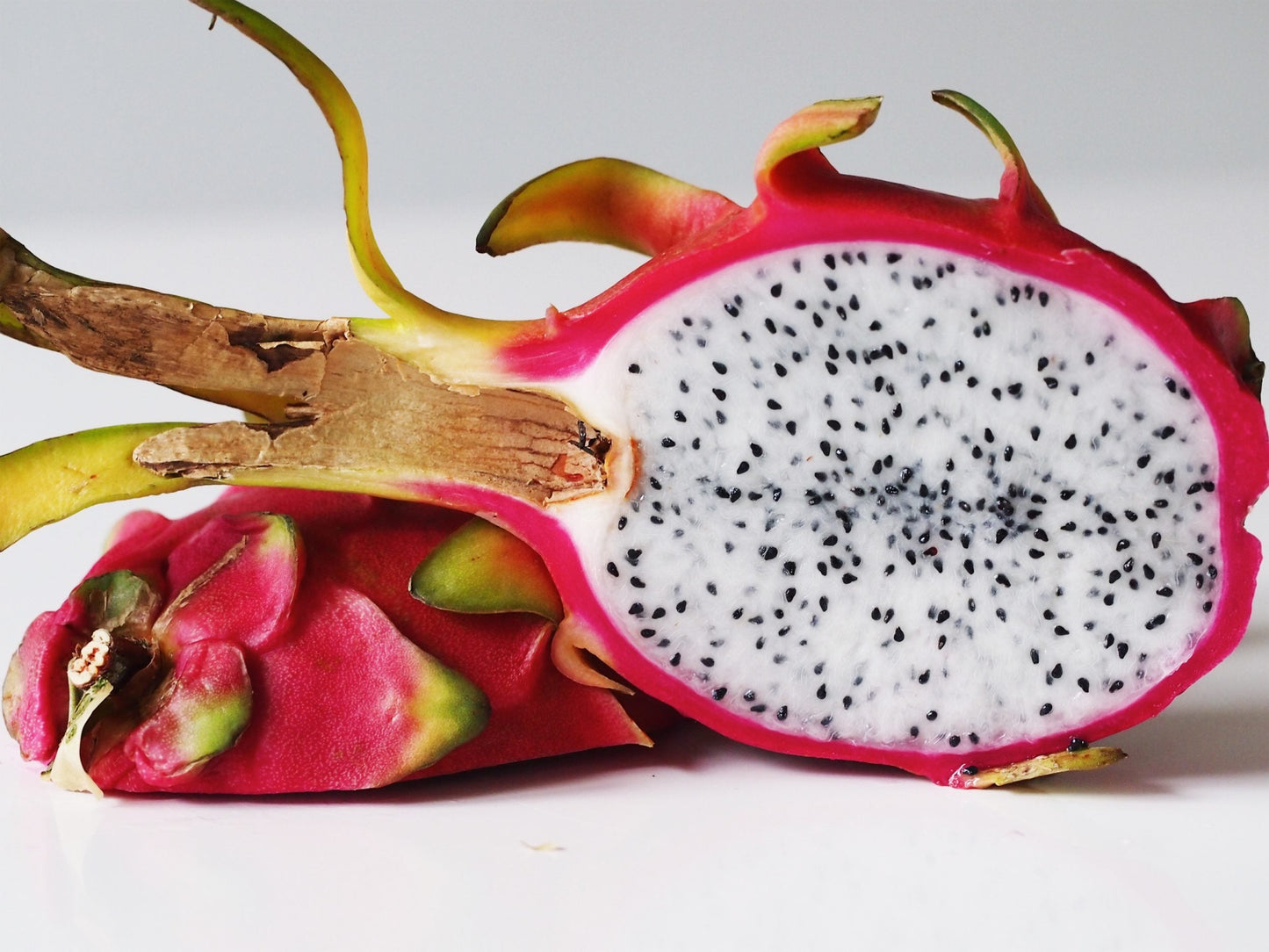 Dragon Fruit Plant for sale | Buy Dragon Fruit plant | Dragon Fruit buy online near me | Dragon Fruit tree for sale